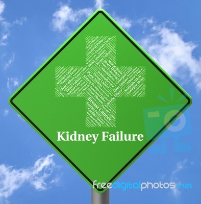 Kidney Failure Indicates Lack Of Success And Affliction Stock Image