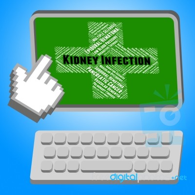 Kidney Infection Indicates Ill Health And Ailment Stock Image