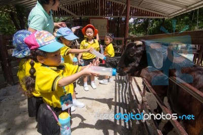 Kindergarten Students Visit The Zoo, In The Jul 15, 2016. Bangkok Thailand Stock Photo