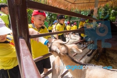 Kindergarten Students Visit The Zoo, In The Jul 15, 2016. Bangkok Thailand Stock Photo