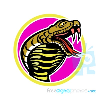 King Cobra Snake Mascot Stock Image