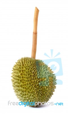 King Of Fruits, Durian Long Stalk, Isolated On White Background Stock Photo