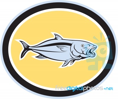 Kingfish Cartoon Oval Stock Image