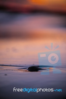 Kings Beach In The Sunshine Coast, Queensland Stock Photo