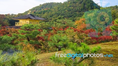 Kinkakuji's Roof And Autumn Leaves In Kyoto Stock Photo