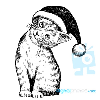 Kitten Cat With Christmas Hat Stock Image