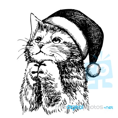 Kitten Cat With Christmas Hat Stock Image