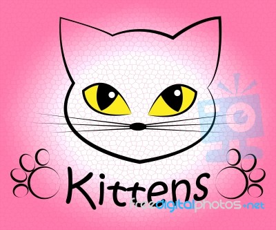 Kittens Word Means Domestic Cat And Cats Stock Image