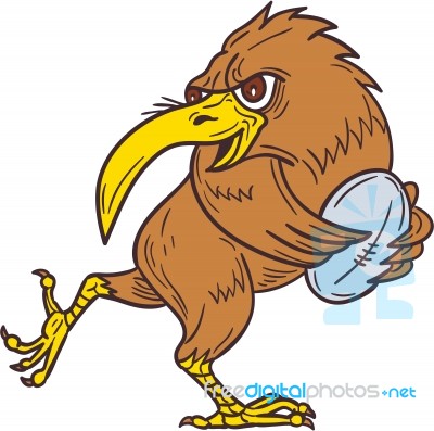 Kiwi Bird Running Rugby Ball Drawing Stock Image