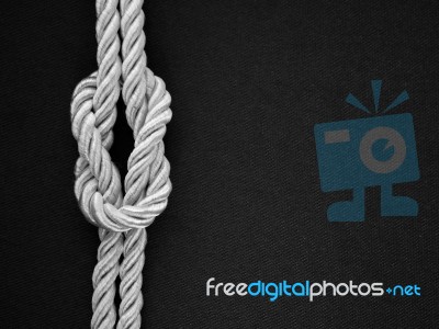 Knot Stock Photo