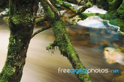 Knyvet Falls In Cradle Mountain Stock Photo