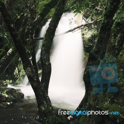 Knyvet Falls In Cradle Mountain Stock Photo