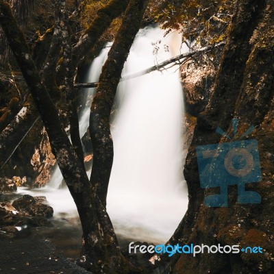 Knyvet Falls In Cradle Mountain Stock Photo