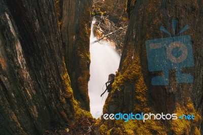 Knyvet Falls In Cradle Mountain Stock Photo