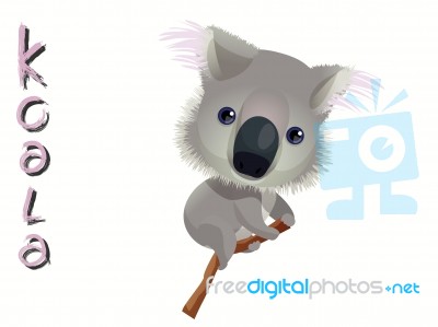 Koala Stock Image