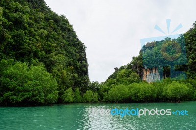 Koh Hong Island Krabi In Thailand Forest In Sea Stock Photo