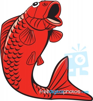 Koi Nishikigoi Carp Fish Jumping Cartoon Stock Image