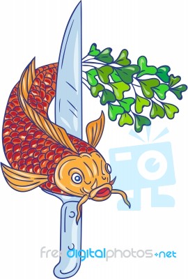 Koi Nishikigoi Carp Fish Microgreen Tail Knife Drawing Stock Image