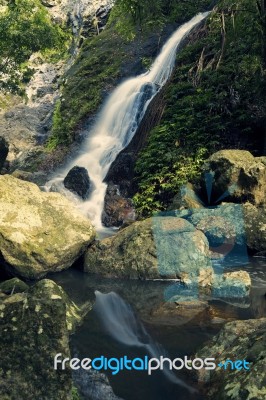 Kondalilla Falls In Kondalilla Falls National Park Stock Photo