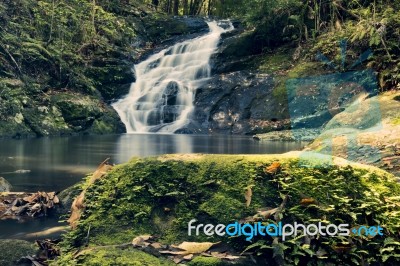 Kondalilla Falls In Kondalilla Falls National Park Stock Photo