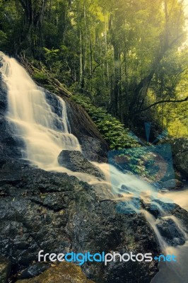 Kondalilla Falls In Kondalilla Falls National Park Stock Photo