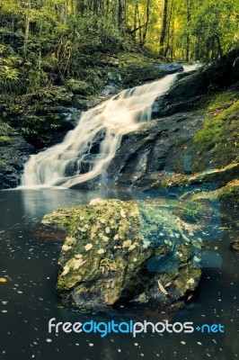 Kondalilla Falls In Kondalilla Falls National Park Stock Photo