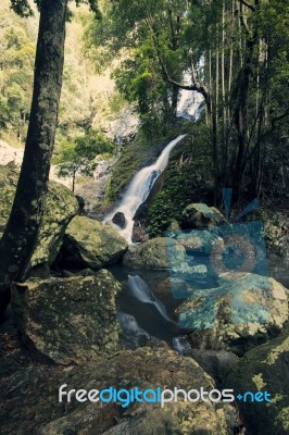 Kondalilla Falls In Kondalilla Falls National Park Stock Photo