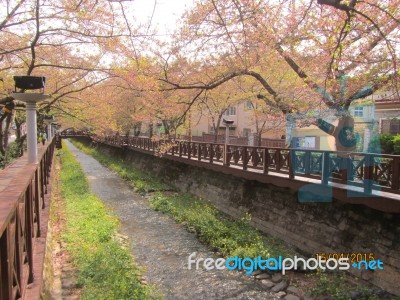 Korea Stock Photo