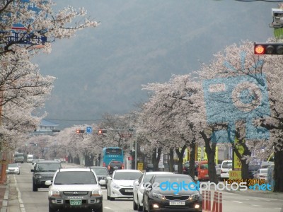 Korea Stock Photo