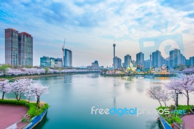 Korea Cityscape With Lotte World And Cherry Blossom Festival In Spring,seoul In South Korea Stock Photo