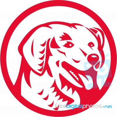 Kuvasz Dog Head Circle Retro Stock Image