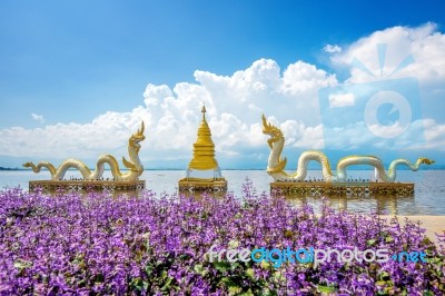 Kwan Phayao (phayao Lake) Is Popular Natural Attraction In Phayao. Landmark Of Phayao In Thailand Stock Photo