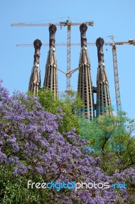 La Sagrada Familia  In Barcelona Stock Photo