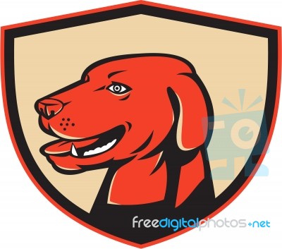 Labrador Golden Retriever Dog Head Shield Retro
 Stock Image