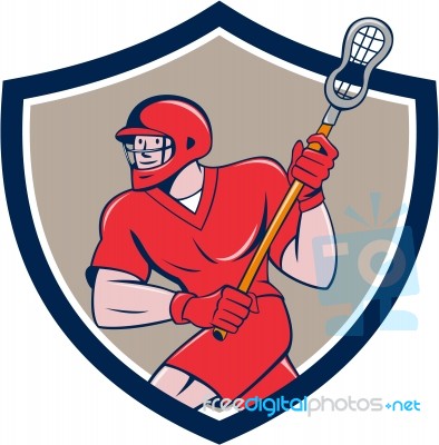 Lacrosse Player Crosse Stick Running Shield Cartoon Stock Image