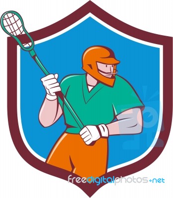 Lacrosse Player Crosse Stick Running Shield Cartoon Stock Image