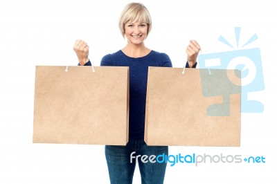 Lady Holding Paper Shopping Bags Stock Photo