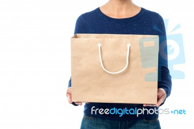 Lady Holding Shopping Bag, Cropped Image Stock Photo