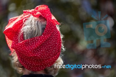 Lady Wearing A Polkadot Silk Scarf On Her Head At The Goodwood R… Stock Photo