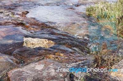 Lagoon In National Park 1 Stock Photo