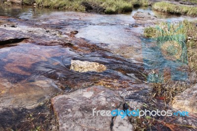 Lagoon In National Park Stock Photo