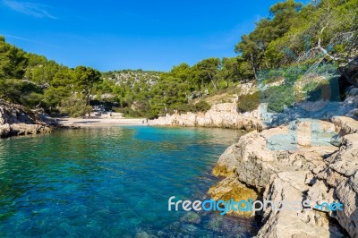 Lagoon Surrounded By Trees Stock Photo