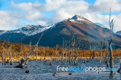 Lake Escondido, Isla Grande De Tierra Del Fuego, Argentina Stock Photo