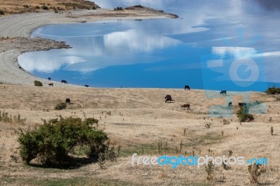 Lake Hawea Stock Photo