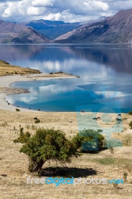 Lake Hawea Stock Photo