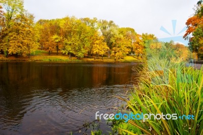 Lake In The City Park In Autumn Stock Photo