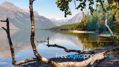 Lake Mcdonald Stock Photo