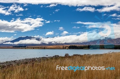 Lake Tekapo Stock Photo