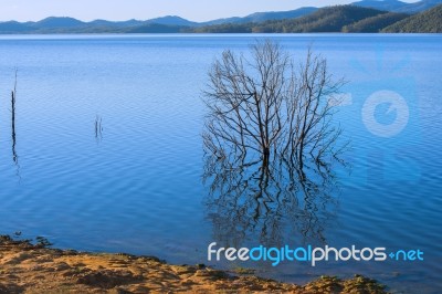 Lake Wivenhoe In Queensland During The Day Stock Photo