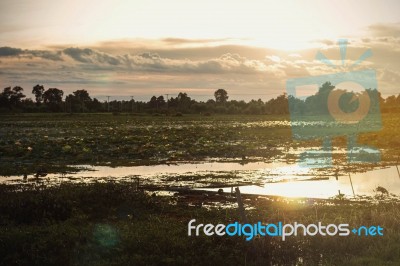 Lake Wth The Sky Stock Photo